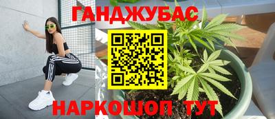 мдпв Гусев