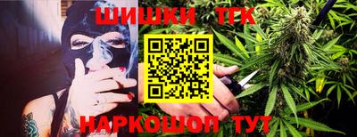 мдпв Гусев