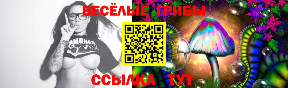 Ликино-Дулёво  Галлюциногенные грибы GOLDEN TEACHER  Вход с VPN 